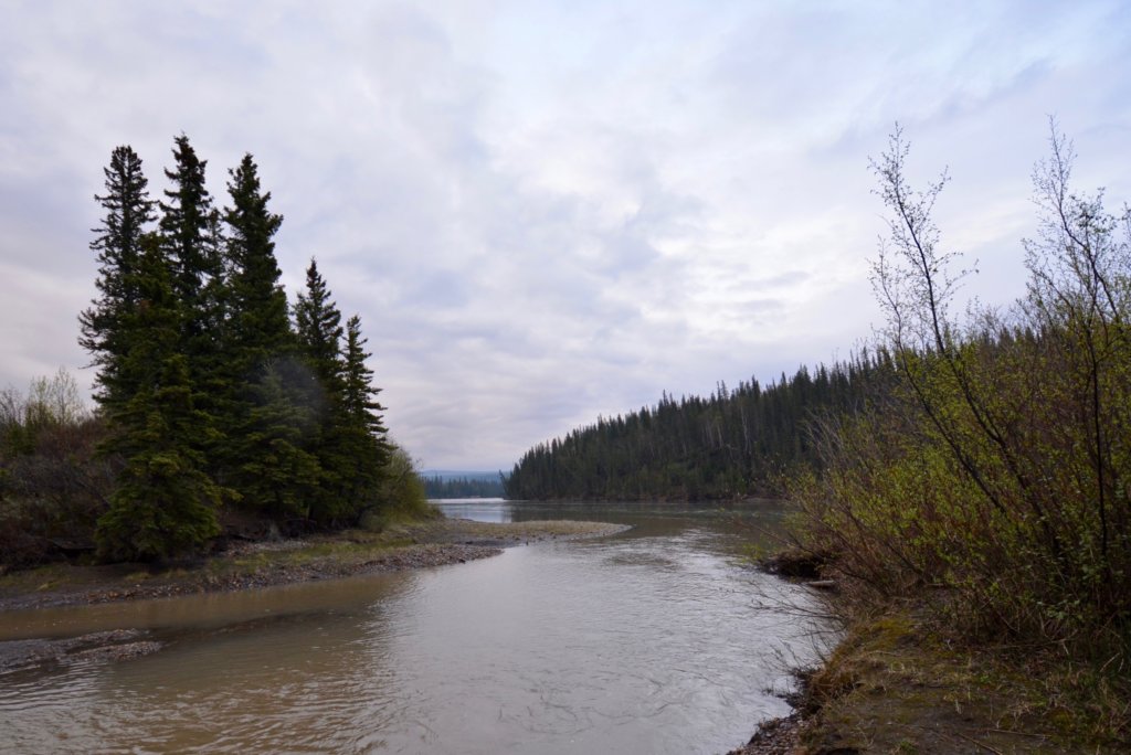 the confluence of Solomon Creek and the Athabasca River