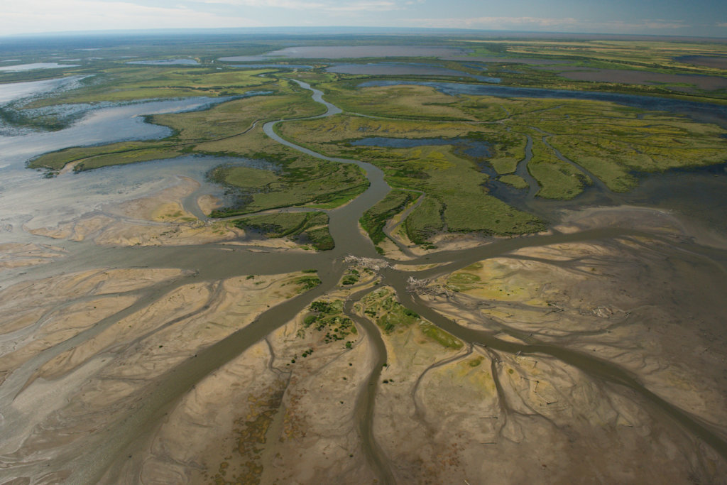arial view of a portion of the Peace Athabasca delta